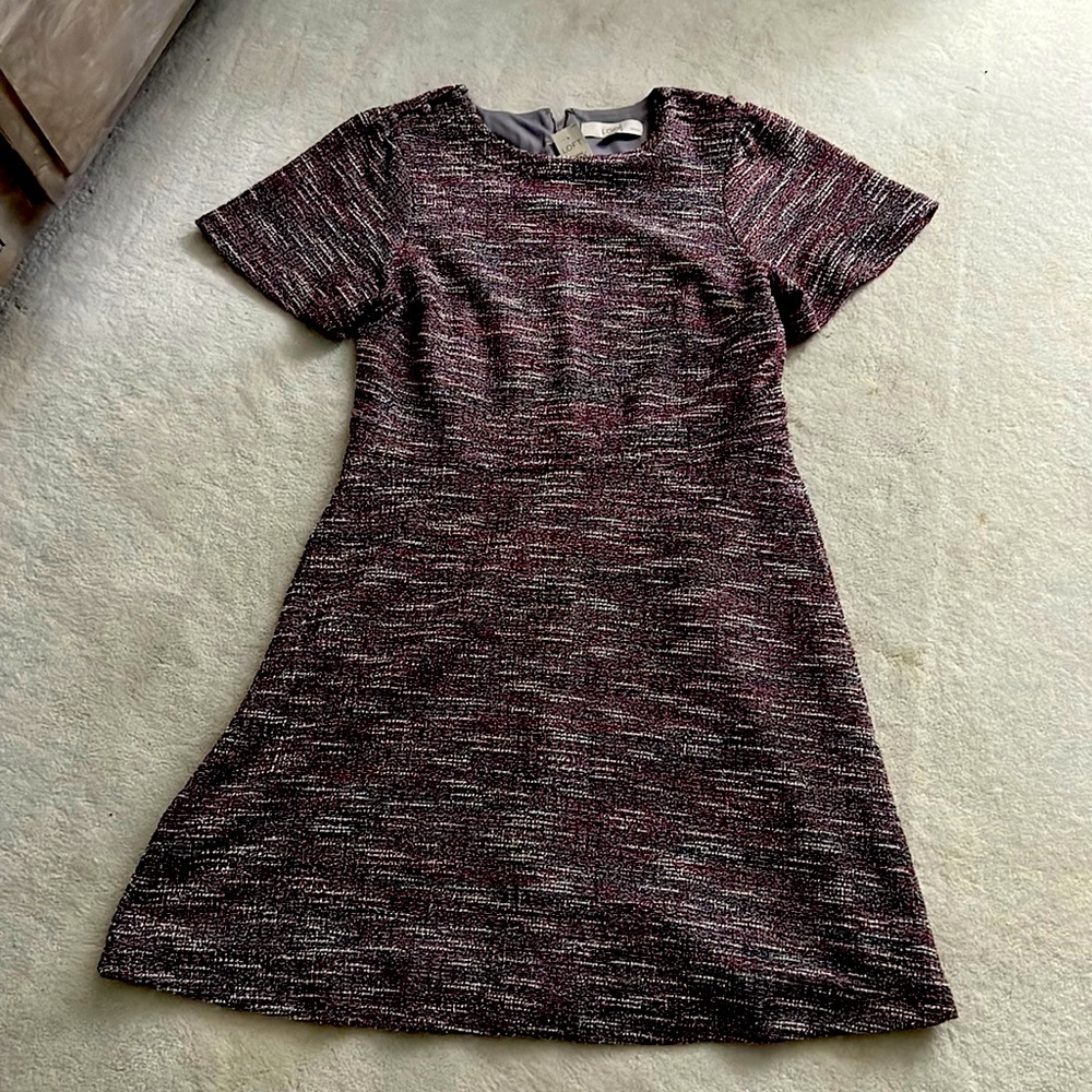 Loft 14P BRAND NEW knee length dress